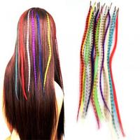 Set 18 Colors Grizzly Synthetic Feather Hair Extensions