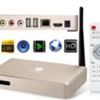 PX-S805 1080P Android 4.2 Amlogoic S805 CPU 512MB RAM 8GB ROM Android TV Box with 2 USB-HOST Ports & Built-in WiFi Module (Golden)