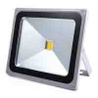 50W LED Flood Light