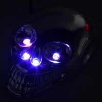 Chrome Skull Motorcycle Motorbike Car Flashing LED Decorative Light