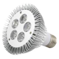 AC85-265v E27 5W 450LM 5-LED LED PAR30 Light Lamp