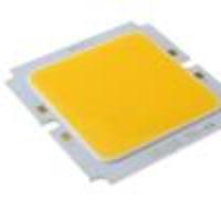 20W 2000LM 3000-3200K Warm White Light COB LED Module