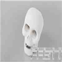 Skull Style Vinyl Multicolor LED Decoration Night Light