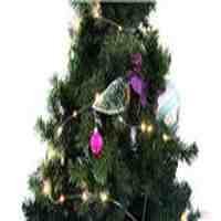 Battery Powered Warm White Decorative LED String Light (2m)