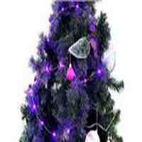Battery Powered Purple Light Decorative LED String Light (2m)