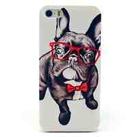 Glass Dog Animal Pattern Hard Case for iPhone 5/5S