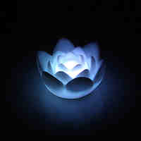 Charming Lotus Shaped Colorful LED Night Light (3xAG13)