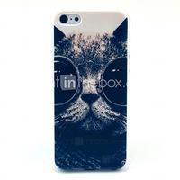 Sunglass Cat Pattern Hard Case for iPhone 5C