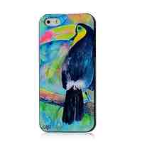 Toucan Pattern Hard Case for iPhone 5/5S