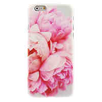 Blossomy Rose Design Hard Case for iPhone 6