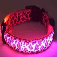 The New Pet Products Led Dog Collar  (Assorted SizeColors)