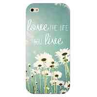 Daisy Pattern Hard Back Case for iPhone 5/5S