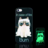 Cat Pattern Glow in the Dark Hard Case for iPhone 5 / iPhone 5 S