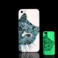 Cat Pattern Glow in the Dark Hard Case for iPhone 5 / iPhone 5 S