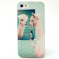 Alpaca Pattern TPU Material Soft Phone Case for iPhone 5C