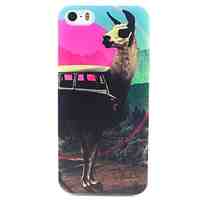 Alpaca Pattern TPU Material Soft Phone Case for iPhone 5/5S