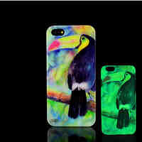 Toucan Pattern Glow in the Dark Hard Plastic Back Cover for iPhone 5 for iPhone 5s Case