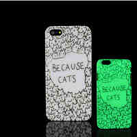 Cat Kitty Pattern Glow in the Dark Hard Plastic Back Cover for iPhone 5 for iPhone 5s Case