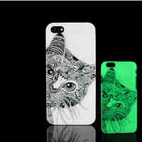 Cat Kitty Pattern Glow in the Dark Hard Plastic Back Cover for iPhone 5 for iPhone 5s Case