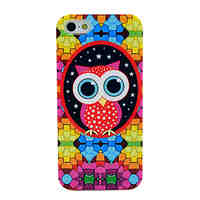 Cartoon Owl Pattern Soft Tpu Imd Case for iPhone 5/5S