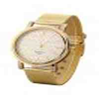 Chic Golden Mesh Watch