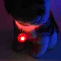 Flashing LED Pet Pendant Tag