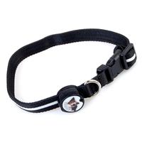 Green LED Flashing Light Dog Pet Nylon Safety Collar