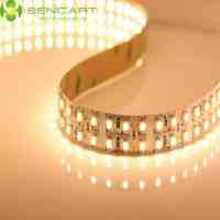 5M 1200-LED SMD3528 Double Rows 1200LM Warm White Light LED Strip Light (DC 12V)