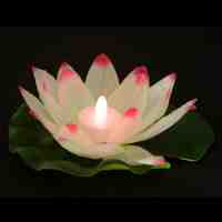 Beautiful Lotus Shaped LED Wishing Lamp Water Lantern White