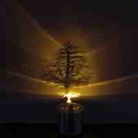 9PIG Creative Pine Tree LED Candle Light Projector Lamp Silver