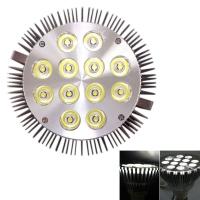 PAR38 12W 6500K High Power Spotlight LED Bulb