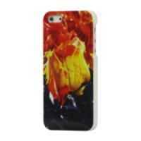 Glossy Burning Fire Hard Plastic Case Cover for iPhone 5 5s